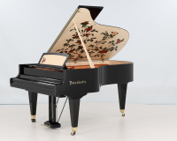 Bosendorfer 214VC Camellia 53257 - 2D image