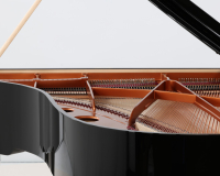 Bosendorfer 214VC Camellia 53257 - 2D image
