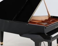 Bosendorfer 214VC Camellia 53257 - 2D image