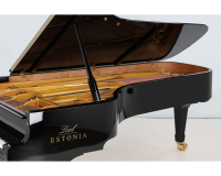 Estonia 274 - 2D image
