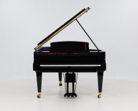 Bosendorfer Great Wave of Kwanga - 360° presentation