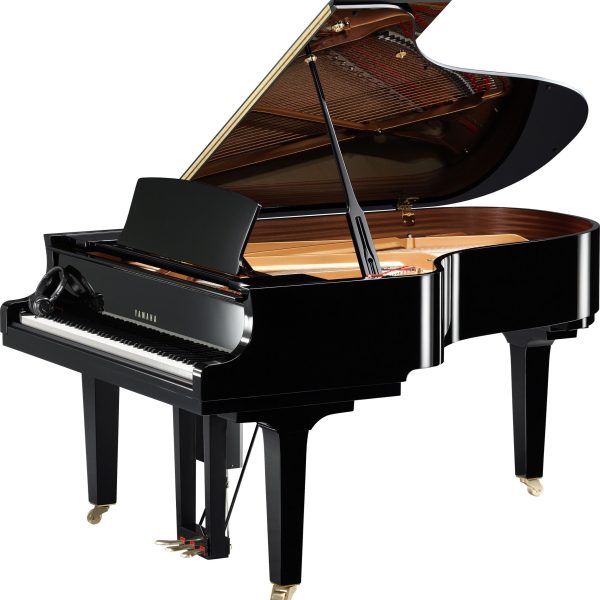 C6X Disklavier Enspire Pro