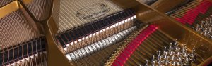 Laul Estonia Pianos