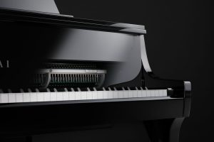 NV10S_right_keylid_half