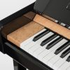 Sauter artisan 124 upright slip Polished Birds Eye Maple