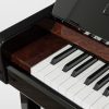 Sauter artisan 124 upright slip Polished Vavona