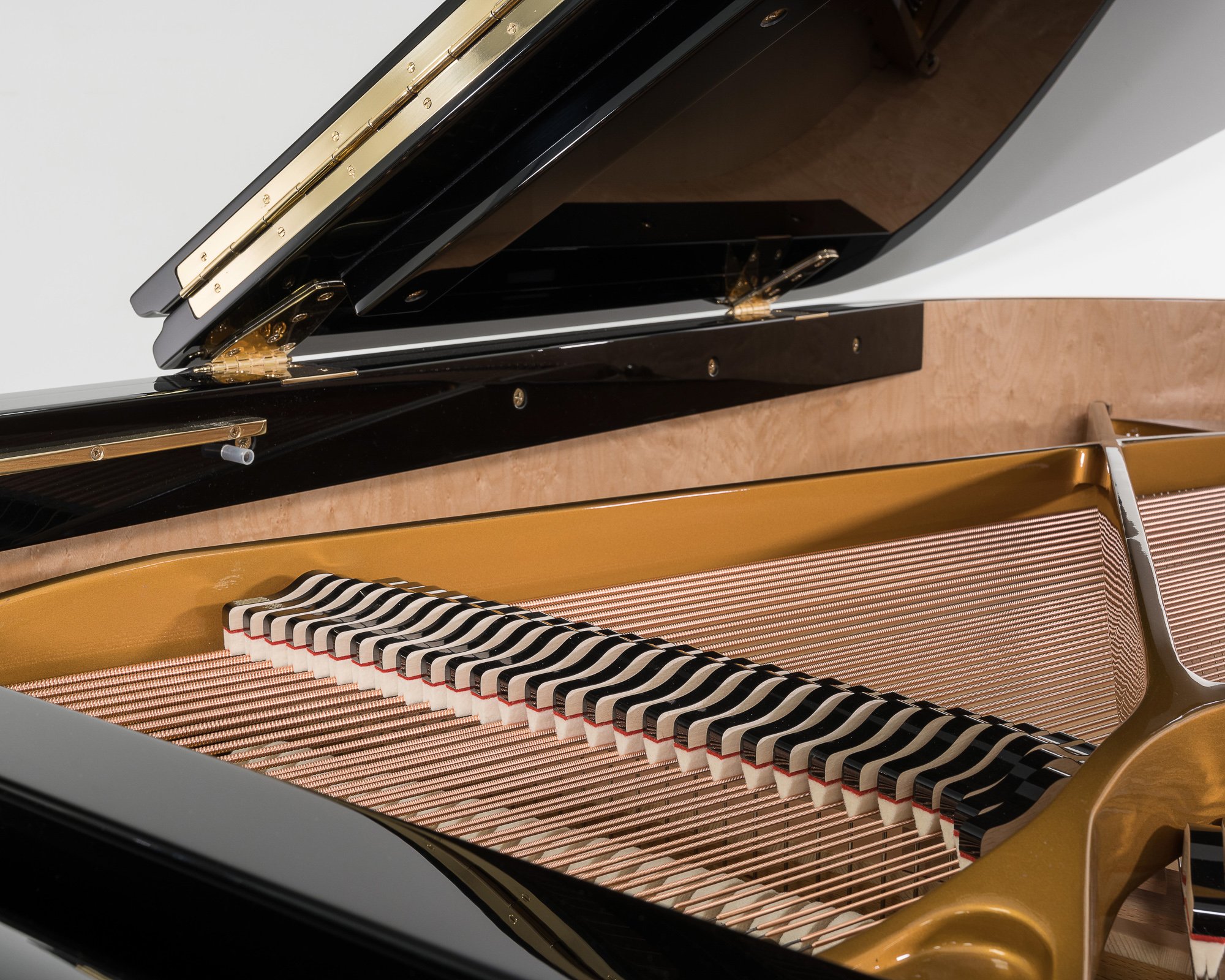 Sauter Alpha 160 Grand Piano in Polished Black