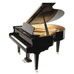 Steingraeber 170