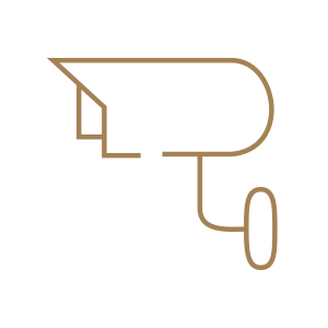 Monitor Icon